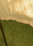 Saxon teltta Jorvik, 4x6m
