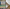 Pocket Museum: Vikings - Steve Ashby & Alison Leonard