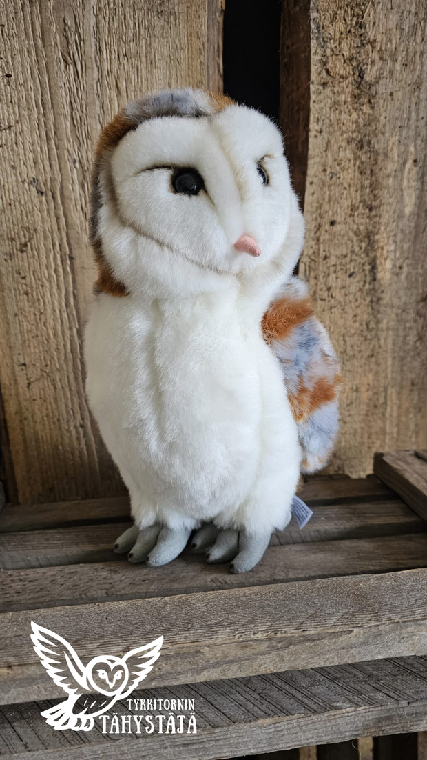 Tykkitornin Tähystäjä – linnan hiljainen vartija