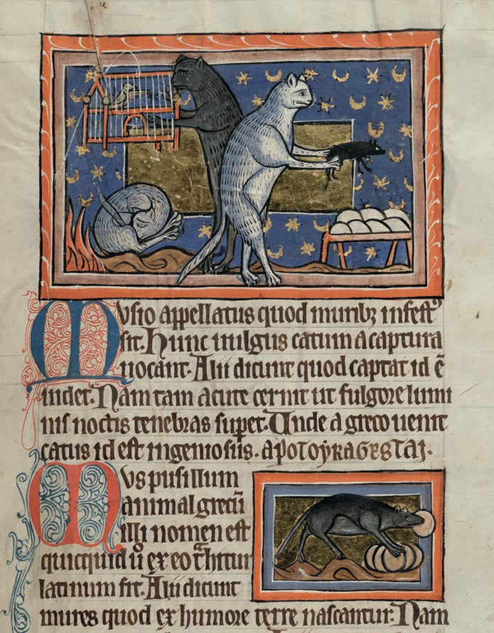 Cats in Medieval Manuscripts (British Library Medieval Guides) - Kathleen Walker-Meikle - Tarotpuoti