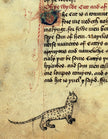 Cats in Medieval Manuscripts (British Library Medieval Guides) - Kathleen Walker-Meikle - Tarotpuoti